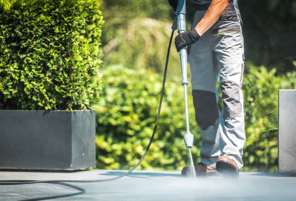 Best Soft Washing  in New Hempstead, NY