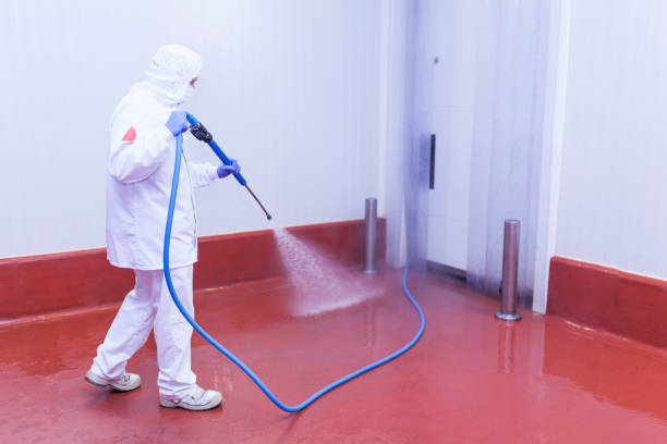 Best Post-Construction Pressure Washing  in New Hempstead, NY