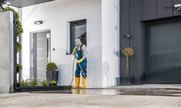 Best Dumpster Area Cleaning  in New Hempstead, NY